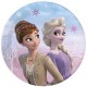 Coordinato Frozen 2 Wind Spirit - Piatto Carta 19,5 cm. - 8 pz.